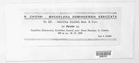Meliola zigzag image